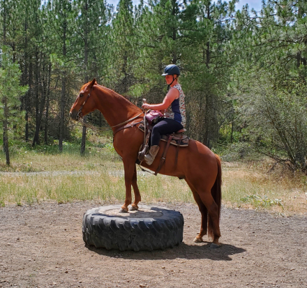 HorseID: 2296714 DBL SHOT OF FIREBALL - PhotoID: 1076963