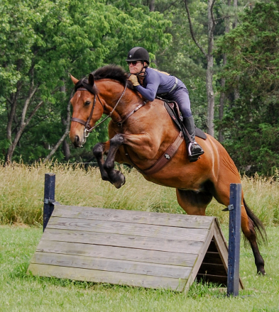 HorseID: 2296724 Moorland Briar - PhotoID: 1077015