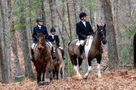 HorseID: 2296724 Moorland Briar - PhotoID: 1077018