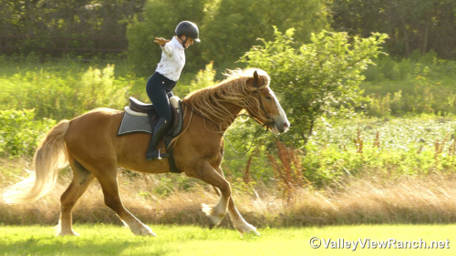 HorseID: 2296821 Atlas - PhotoID: 1077134