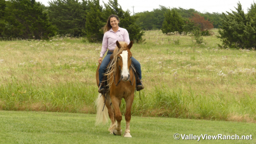 HorseID: 2296821 Atlas - PhotoID: 1077137