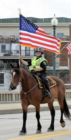 HorseID: 2296878 Cleopatra - PhotoID: 1077227