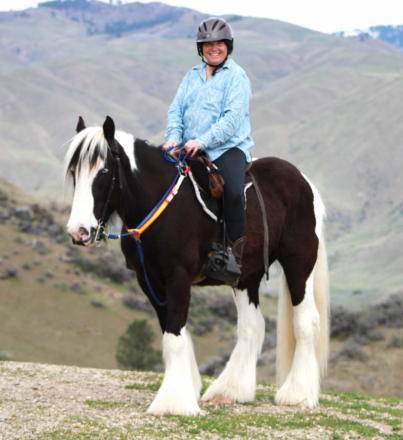 HorseID: 2296972 FAIREHILL ACE - PhotoID: 1077308