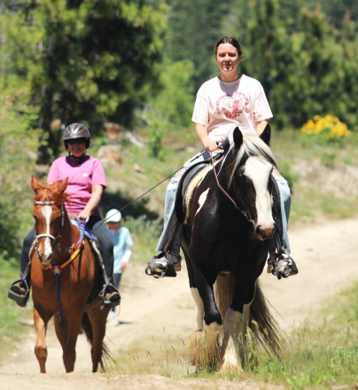 HorseID: 2296972 FAIREHILL ACE - PhotoID: 1077311