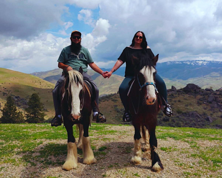 HorseID: 2296972 FAIREHILL ACE - PhotoID: 1077313