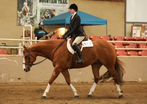 HorseID: 2296995 INVINCEBLE - PhotoID: 1077316