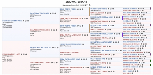 HorseID: 2297043 JCA War Chant - PhotoID: 1077346