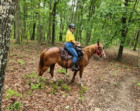 HorseID: 2297057 Minni Archer - PhotoID: 1077443