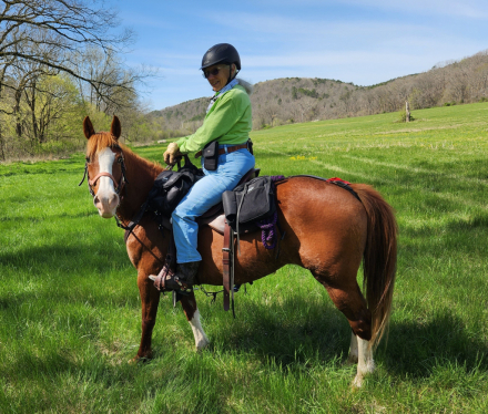 HorseID: 2297057 Minni Archer - PhotoID: 1077444