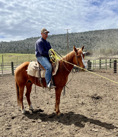 HorseID: 2297189 Smokes Blazn Hot Ace - PhotoID: 1077657