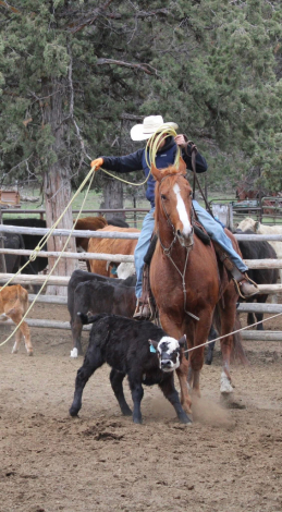 HorseID: 2297189 Smokes Blazn Hot Ace - PhotoID: 1077660