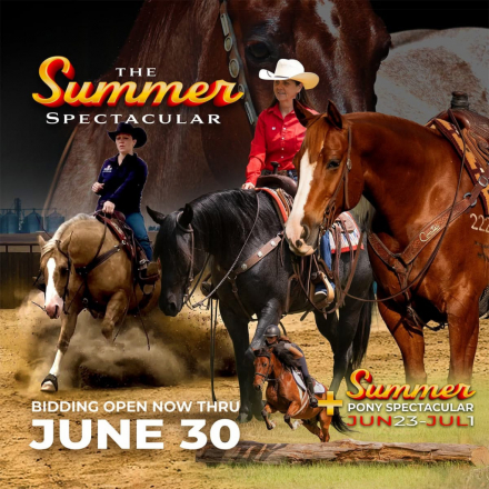 HorseID: 2297296 TLC RED GIRL - PhotoID: 1077573