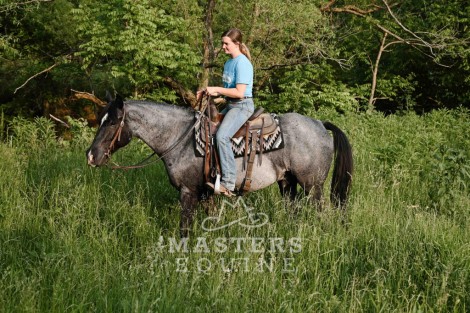 HorseID: 2297313 Ouzo - PhotoID: 1077793