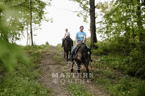 HorseID: 2297313 Ouzo - PhotoID: 1077795