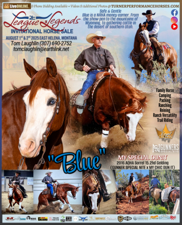 HorseID: 2297432 My Special Dunit - PhotoID: 1077912