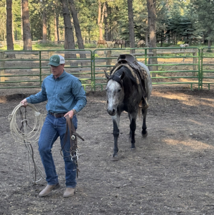 HorseID: 2297447 Bobby - PhotoID: 1077946