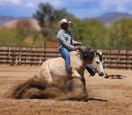 HorseID: 2297466 LIGHTSABERS N SMOKE OSCAR - PhotoID: 1077951