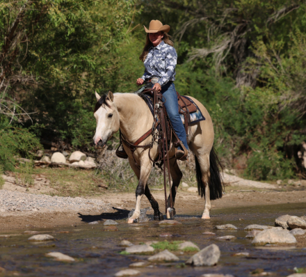 HorseID: 2297466 LIGHTSABERS N SMOKE OSCAR - PhotoID: 1077952