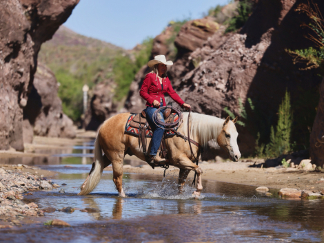 HorseID: 2297467 Guardian Angel - PhotoID: 1077955