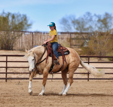 HorseID: 2297467 Guardian Angel - PhotoID: 1077956