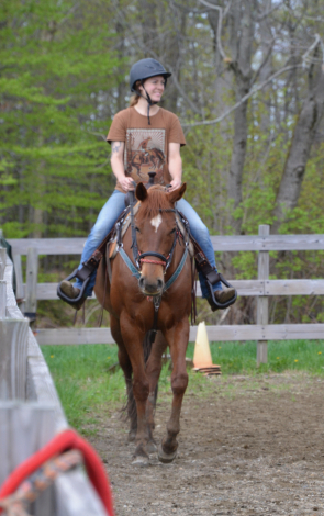 HorseID: 2299329 BEST BE BETTER - PhotoID: 1100252