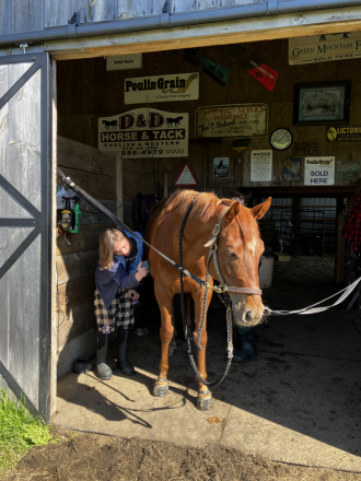 HorseID: 2299329 BEST BE BETTER - PhotoID: 1100253