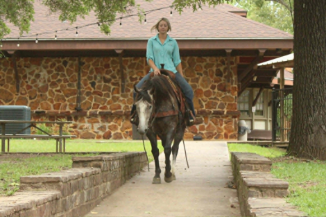 HorseID: 2301374 CADILLAC - PhotoID: 1099640