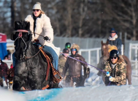 HorseID: 2302660 MOONSHINE - PhotoID: 1101101