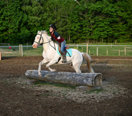 HorseID: 2302691 PATRICK - PhotoID: 1098369