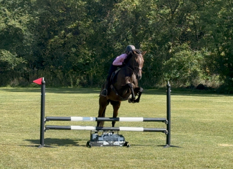 HorseID: 2302758 Miss Madeline - PhotoID: 1099477