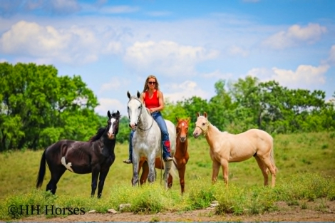 HorseID: 2305451 WHITE SMOKE - PhotoID: 1099874