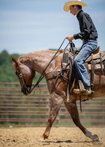 HorseID: 2305574 Chanel - PhotoID: 1097175