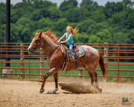 HorseID: 2305574 Chanel - PhotoID: 1097178