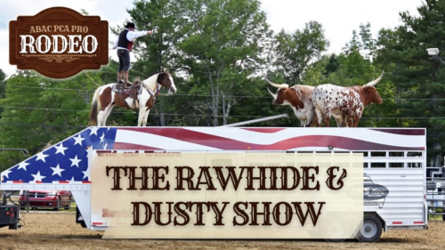 HorseID: 2305745 RAWHIDE - PhotoID: 1101106
