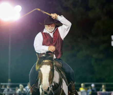 HorseID: 2305745 RAWHIDE - PhotoID: 1101107