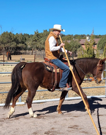 HorseID: 2306906 JAF Calico Treasure - PhotoID: 1091286