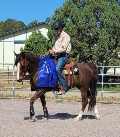 HorseID: 2306906 JAF Calico Treasure - PhotoID: 1091287
