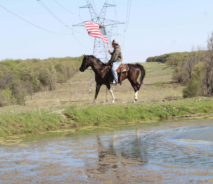 HorseID: 2307274 BLIZZARD - PhotoID: 1091371
