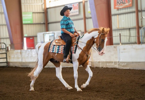 HorseID: 2310045 I spotted a star - PhotoID: 1099346
