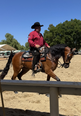 HorseID: 2310118 Lady Nashville - PhotoID: 1094715