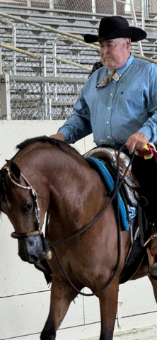HorseID: 2310118 Lady Nashville - PhotoID: 1094716