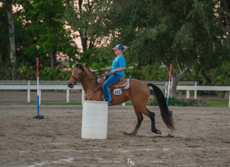 HorseID: 2311335 What The Buck - PhotoID: 1096170