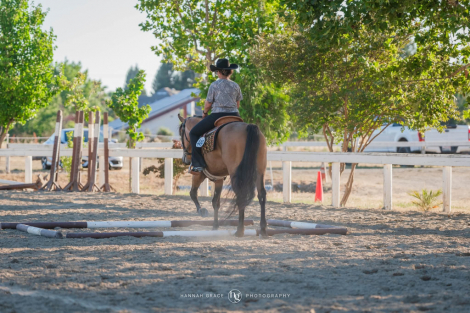 HorseID: 2311335 What The Buck - PhotoID: 1096171