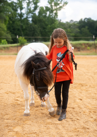 HorseID: 2311622 Rajah - PhotoID: 1097094