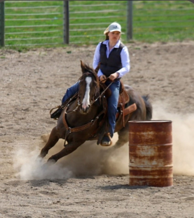HorseID: 2311968 TG Stoli Artful Silk - PhotoID: 1099418