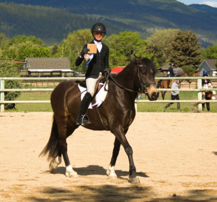 HorseID: 2312352 HALCYONIA BRANDY - PhotoID: 1097491
