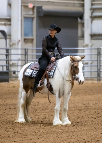 HorseID: 2312559 BF Annabelle - PhotoID: 1100226