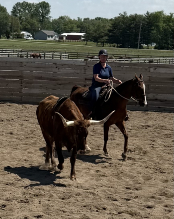 HorseID: 2312619 Diesel - PhotoID: 1099475