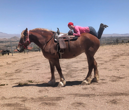 HorseID: 2313607 Lillyanne - PhotoID: 1100821