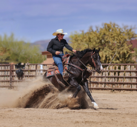HorseID: 2313701 DT TRASHYA ONE TIME - PhotoID: 1099199